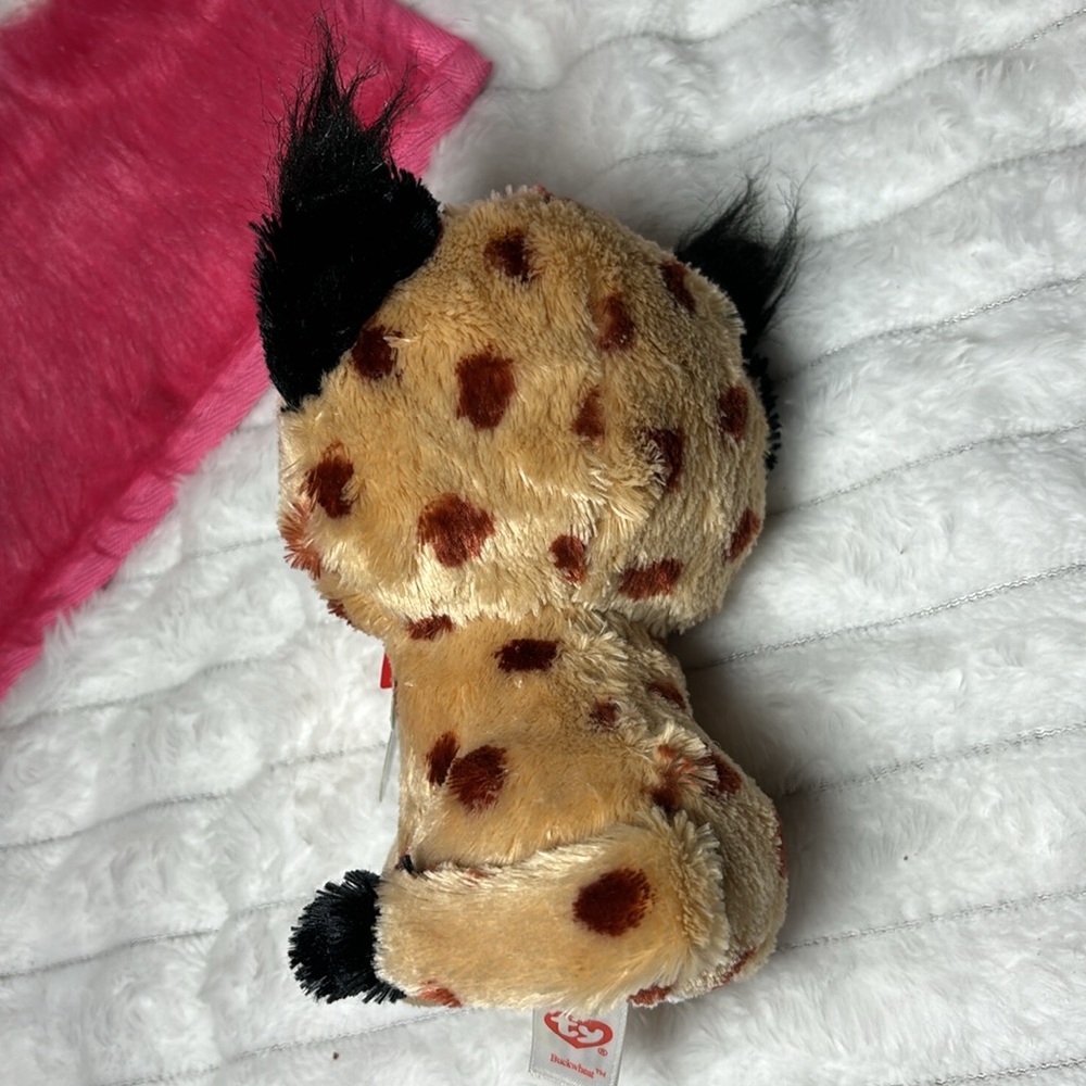 2015 Beanie Boos Ty Buckwheat 6” September 14 EUC - Picture 3 of 8